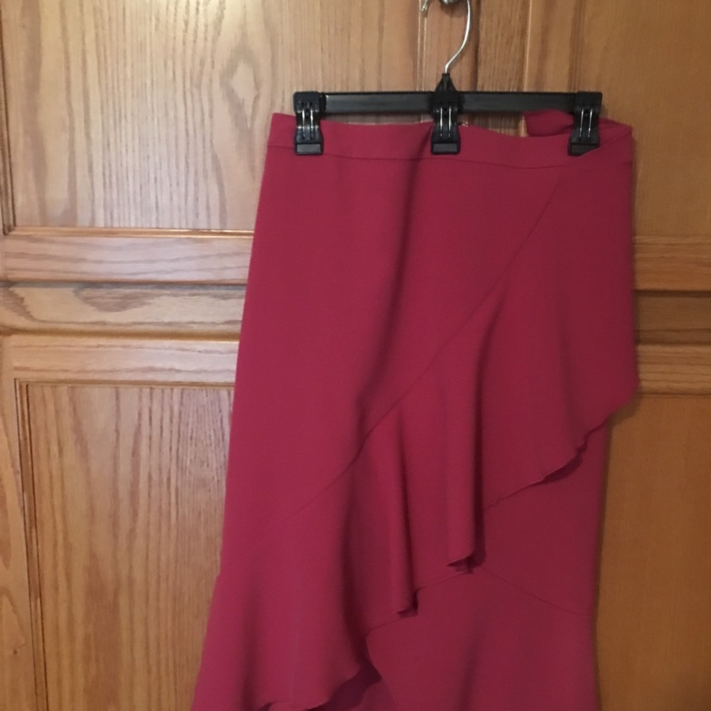 Dress skirt-NWT -never worn